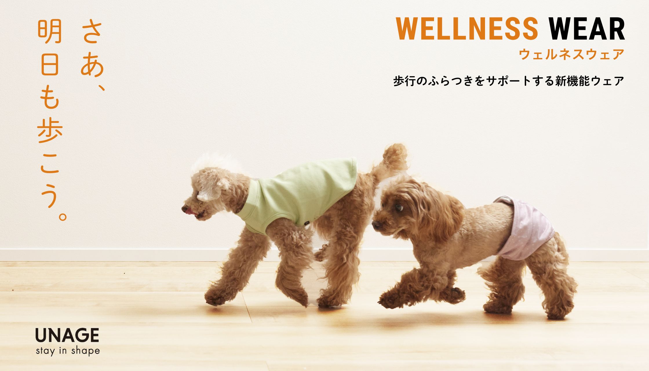ウェルネスウェア
