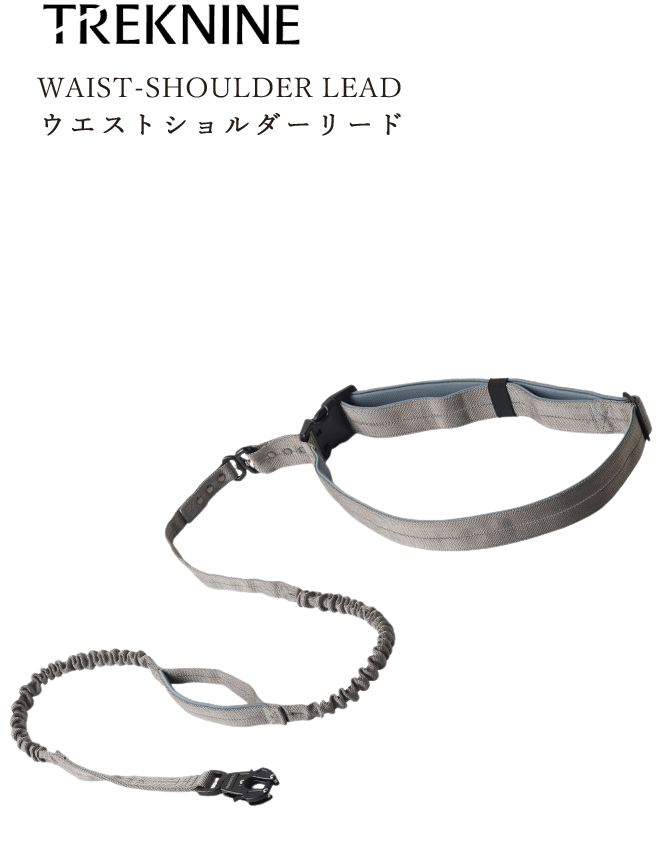 ウエストショルダーリード