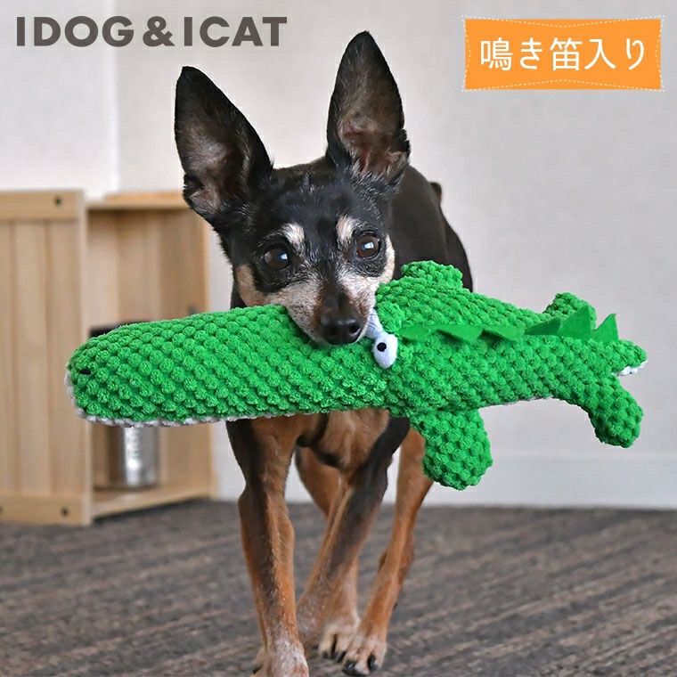 iDog＆iCat本店】iDog ワニ 鳴き笛入り アイドッグ-犬猫ペット用品通販