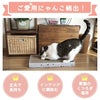 【 猫 爪とぎ 】iCat スクエアつめとぎ ねこづくし アイキャット