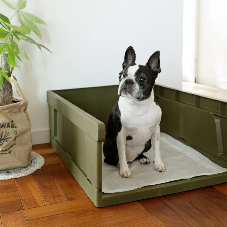 iDog＆iCat本店】iDog HACK 愛犬のためのインテリアトイレ CONTAINER-