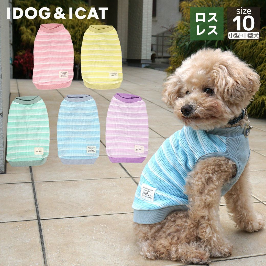 iDog リブ切替ボーダータンク アイドッグ-犬猫用品通販 IDOG&ICAT