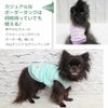 爽やかなカラーのグラデーションがかったボーダー柄。
