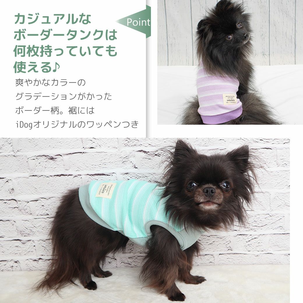 爽やかなカラーのグラデーションがかったボーダー柄。