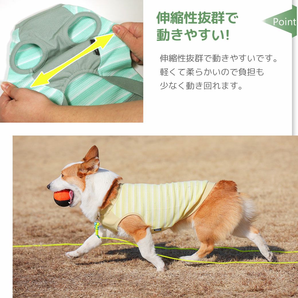 伸縮性抜群で動きやすいです。