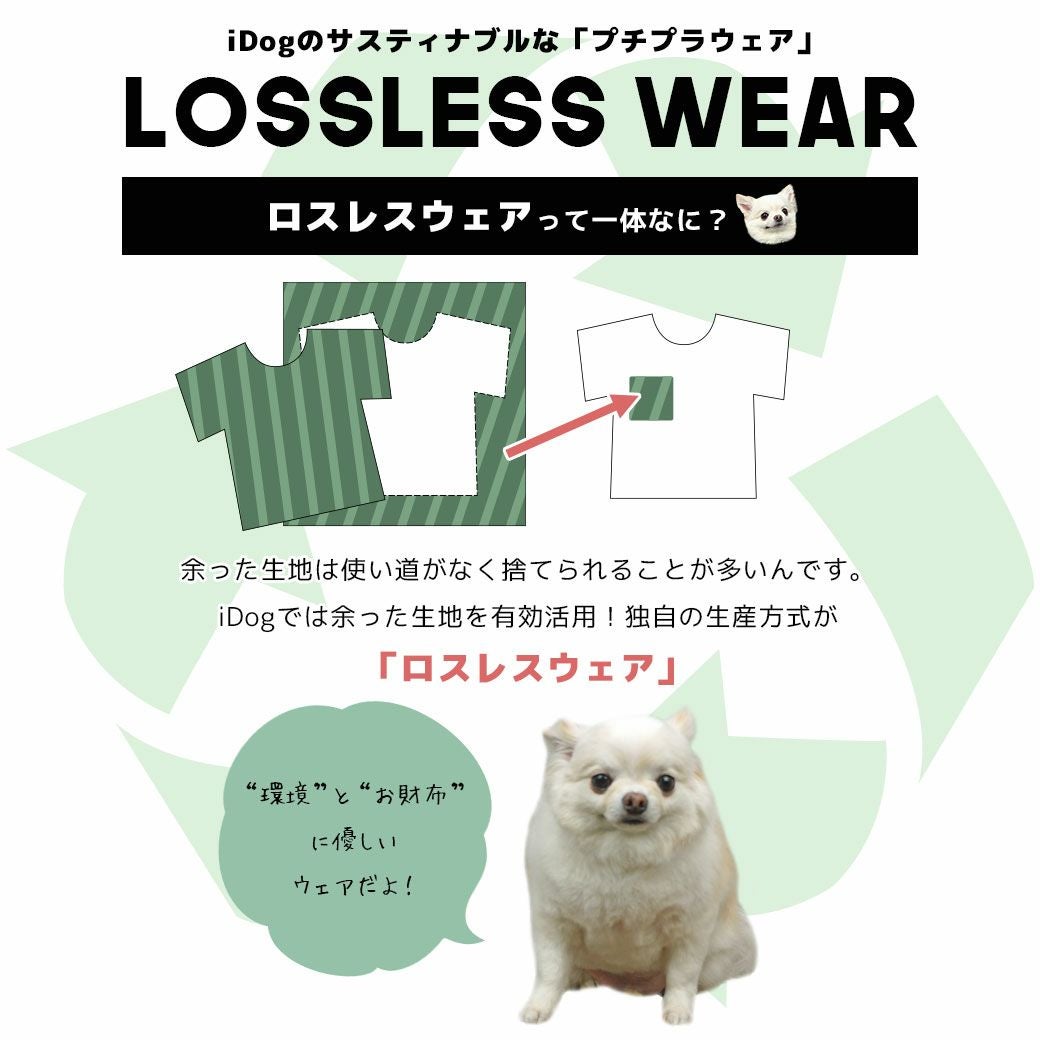 iDog リブ切替ボーダータンク アイドッグ-犬猫用品通販 IDOG&ICAT