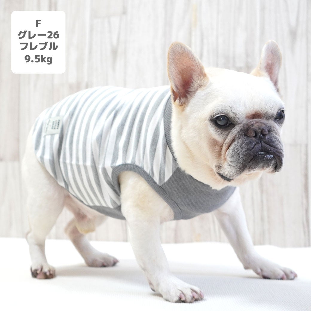 フレブル9.5kg(首41/胴55/丈34cm)のブランくんはグレー26のFを着用