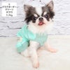 チワワ1.7kg(首18/胴27.5/丈18cm)の小真知ちゃんはグラデボーダーグリーンのSを着用