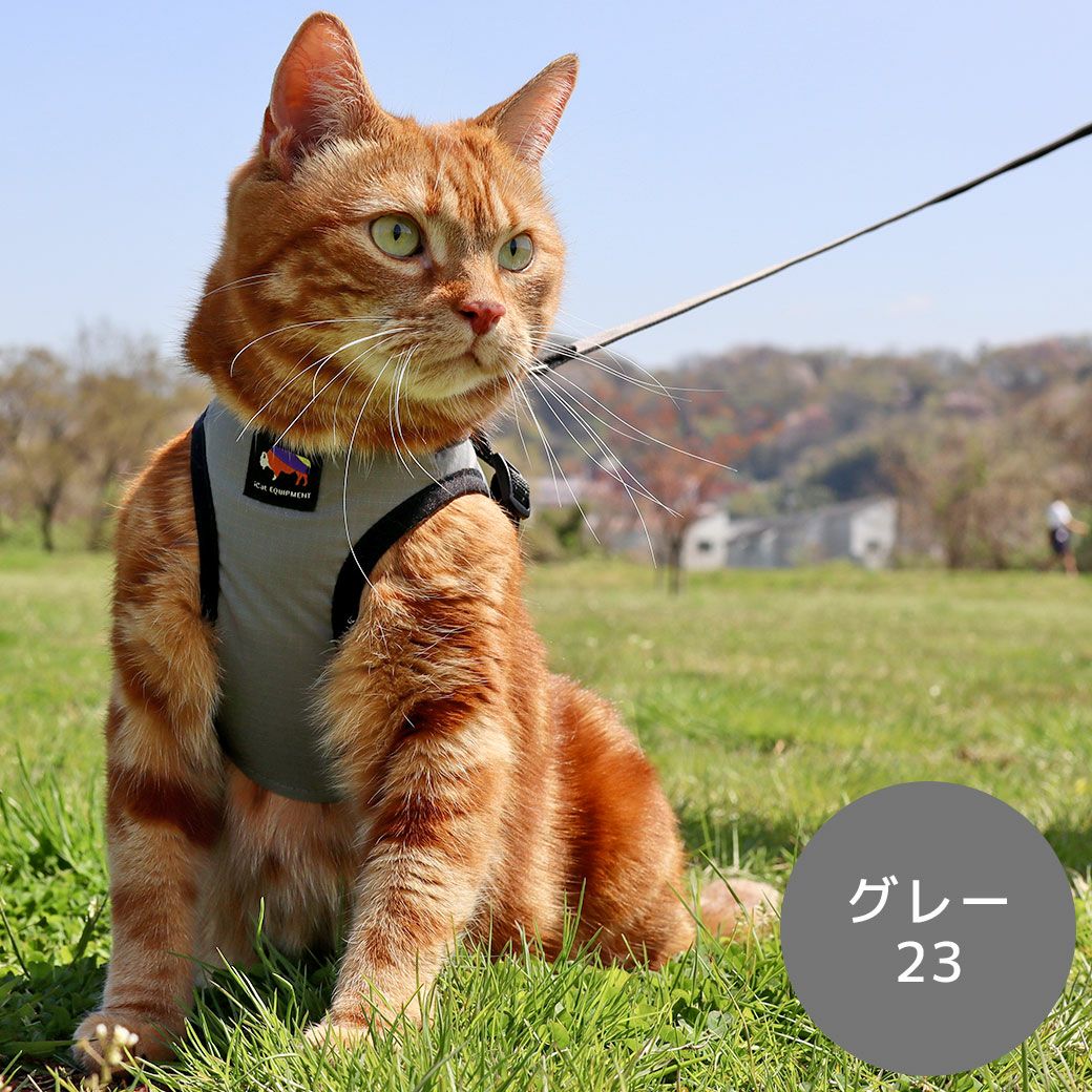 iCat SHIELD COAT 猫用コンフォートハーネス リード付き ICAT