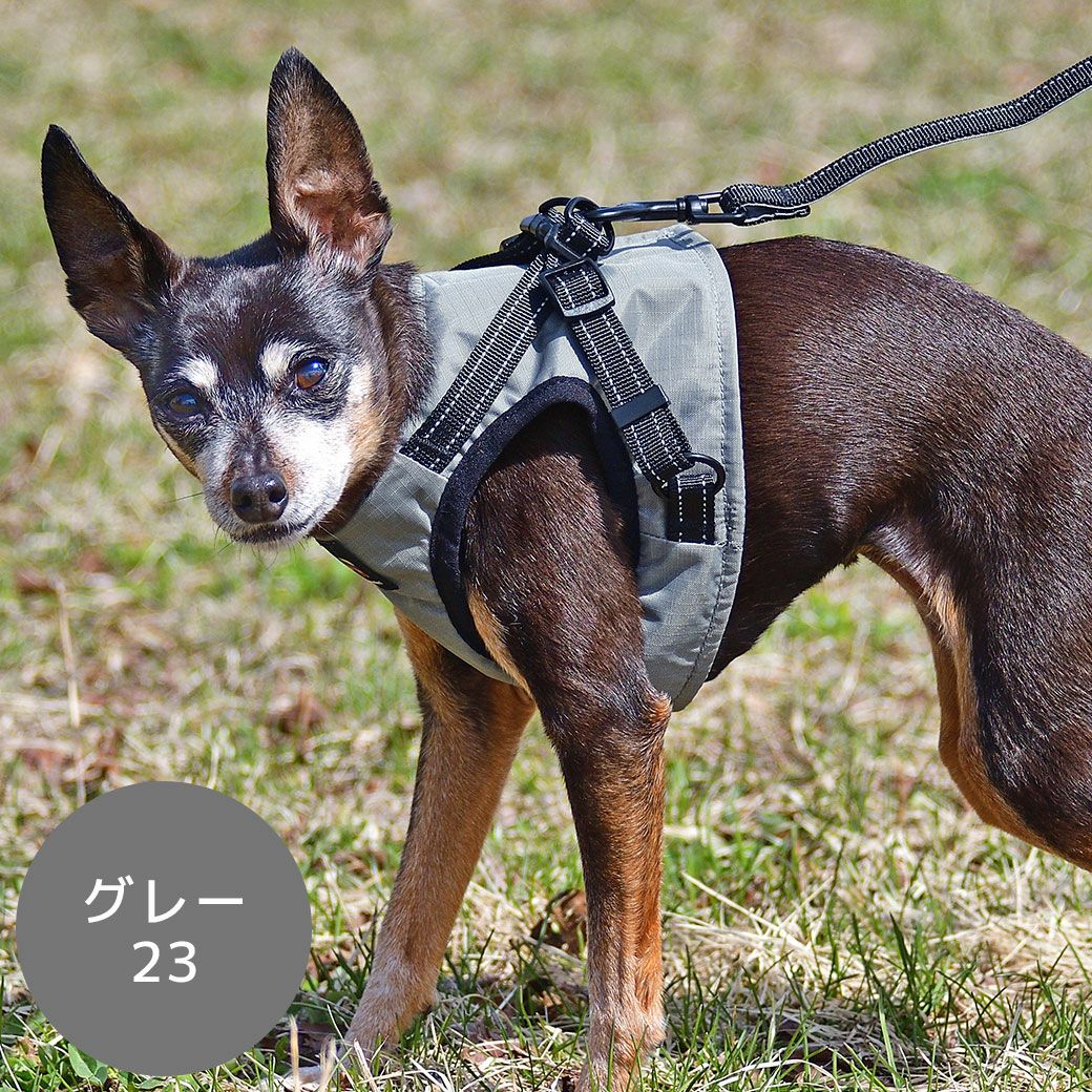 iDog SHIELD COAT 犬用コンフォートハーネス リード付き IDOG