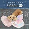 大ボリュームな福袋