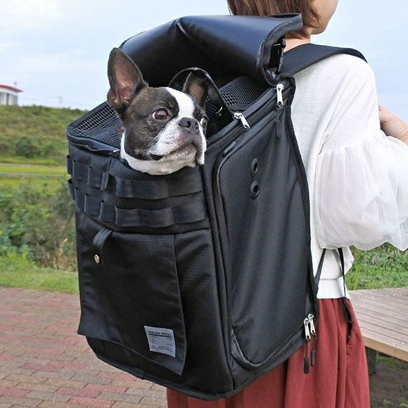 iDog＆iCat本店】IDOG&ICAT WALKA HOLIC スクエアバックパック アイ