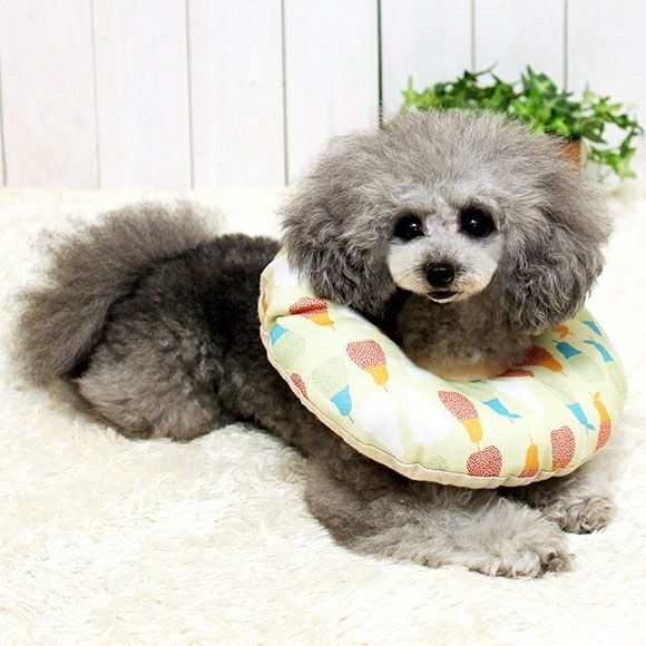 iDog＆iCat本店】iDog 洗える布製エリザベスカラー アイドッグ-犬猫