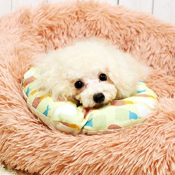 iDog＆iCat本店】iDog 洗える布製エリザベスカラー アイドッグ-犬猫