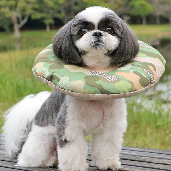 iDog＆iCat本店】iDog 洗える布製エリザベスカラー アイドッグ-犬猫