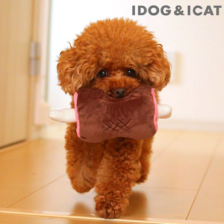 iDog＆iCat本店】IDOG&ICAT 知育おもちゃ 骨付き肉 アイドッグ-犬猫