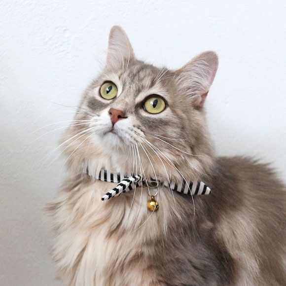iDog＆iCat本店】iCat moscape ラブリーカラー 結びリボン 防虫
