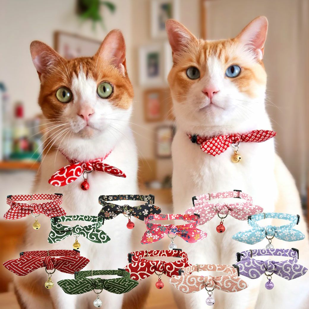 000000000224-20.jpg?size=l&w=