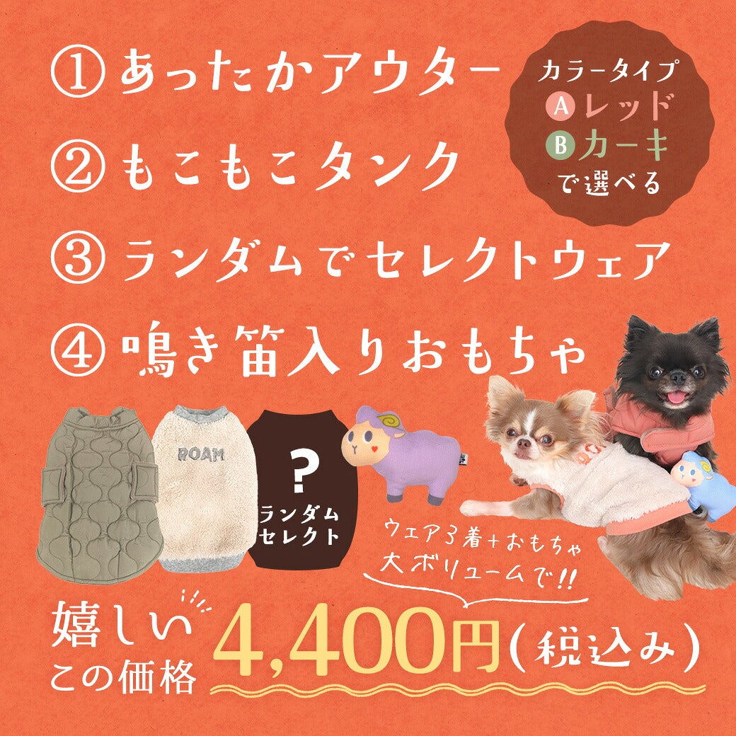 盛りだくさんの4点セットで4400円