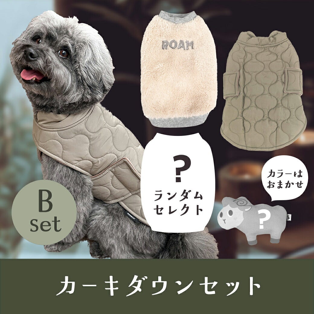 Bカーキダウンセット