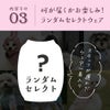何が届くかはお楽しみ