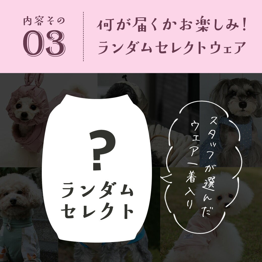 何が届くかはお楽しみ