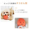 【 犬 おもちゃ 】IDOG&ICAT にょろにょろタコさん 鳴き笛入り  アイドッグ