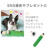 【 犬 おもちゃ 】iDog 大きなえんぴつ カシャカシャ入り アイドッグ