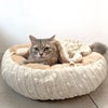 MIX5.7kg(首20/胴45/丈38cm)のロイくんはエクリュを使用