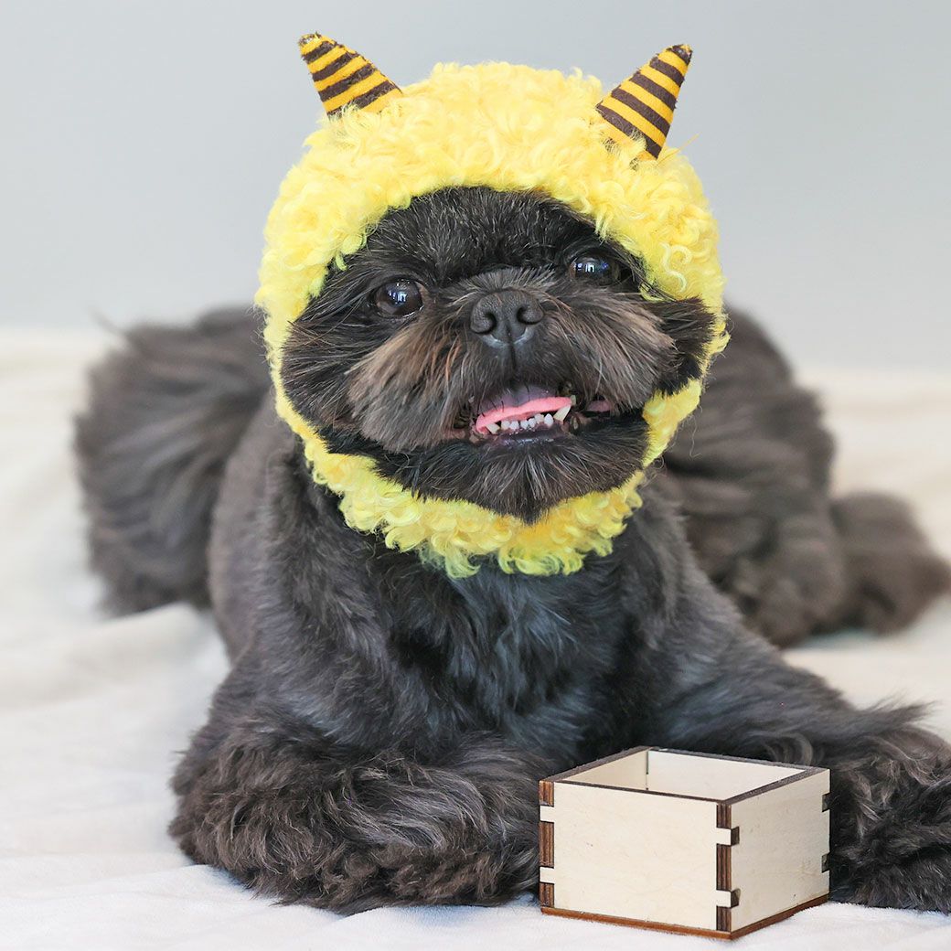 犬服^ ^鬼さん^ ^ iDog 鬼さんスヌード アイドッグ-犬猫ペット用品通販 IDOG&ICAT|ペット