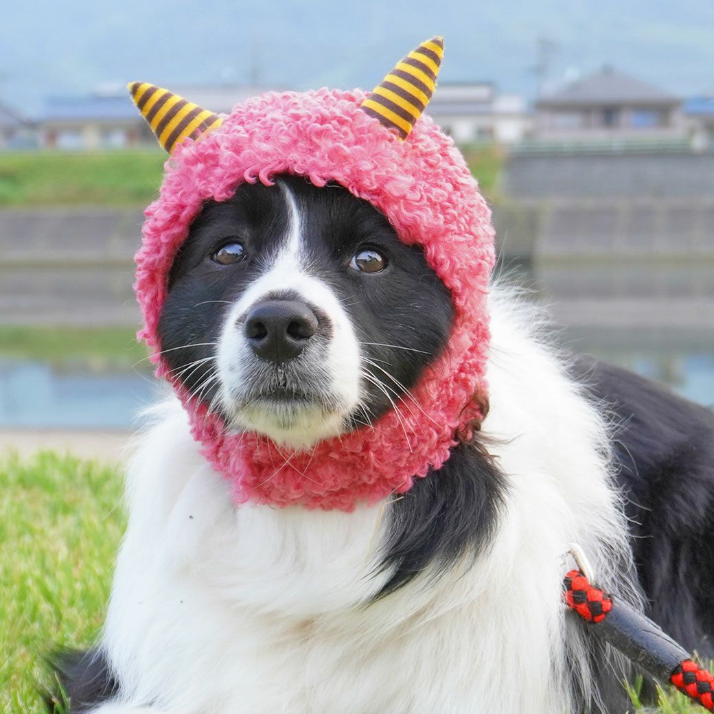 iDog 鬼さんスヌード アイドッグ-犬猫ペット用品通販 IDOG&ICAT|ペット