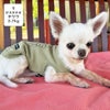 チワワ2.7kg(首19/胴30/丈27cm)のこむぎくんはピスタチオのSを着用