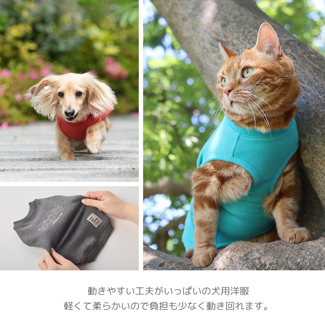 動きやすい工夫がいっぱいの犬用洋服