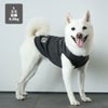 豆柴6.0kg(首30/胴45/丈35cm)のラテちゃんはスミのLを着用