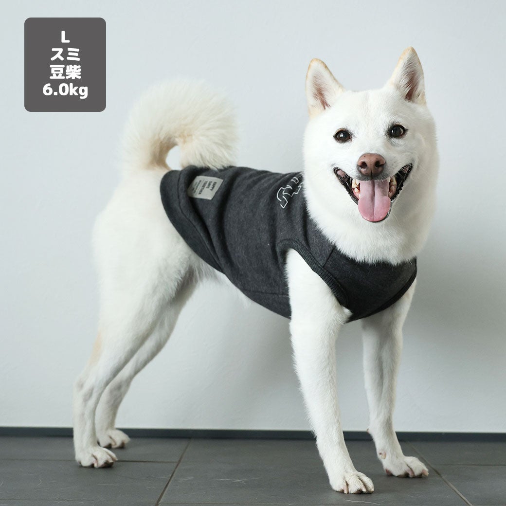 豆柴6.0kg(首30/胴45/丈35cm)のラテちゃんはスミのLを着用