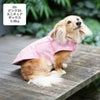 ミニチュアダックス3.8kg(首27/胴38/丈31cm)のクムちゃんはピンク26のDSを着用