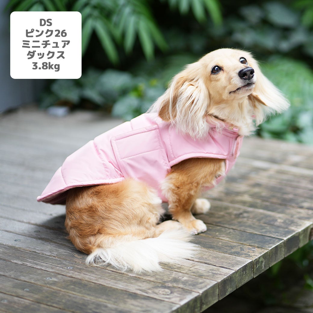 ミニチュアダックス3.8kg(首27/胴38/丈31cm)のクムちゃんはピンク26のDSを着用