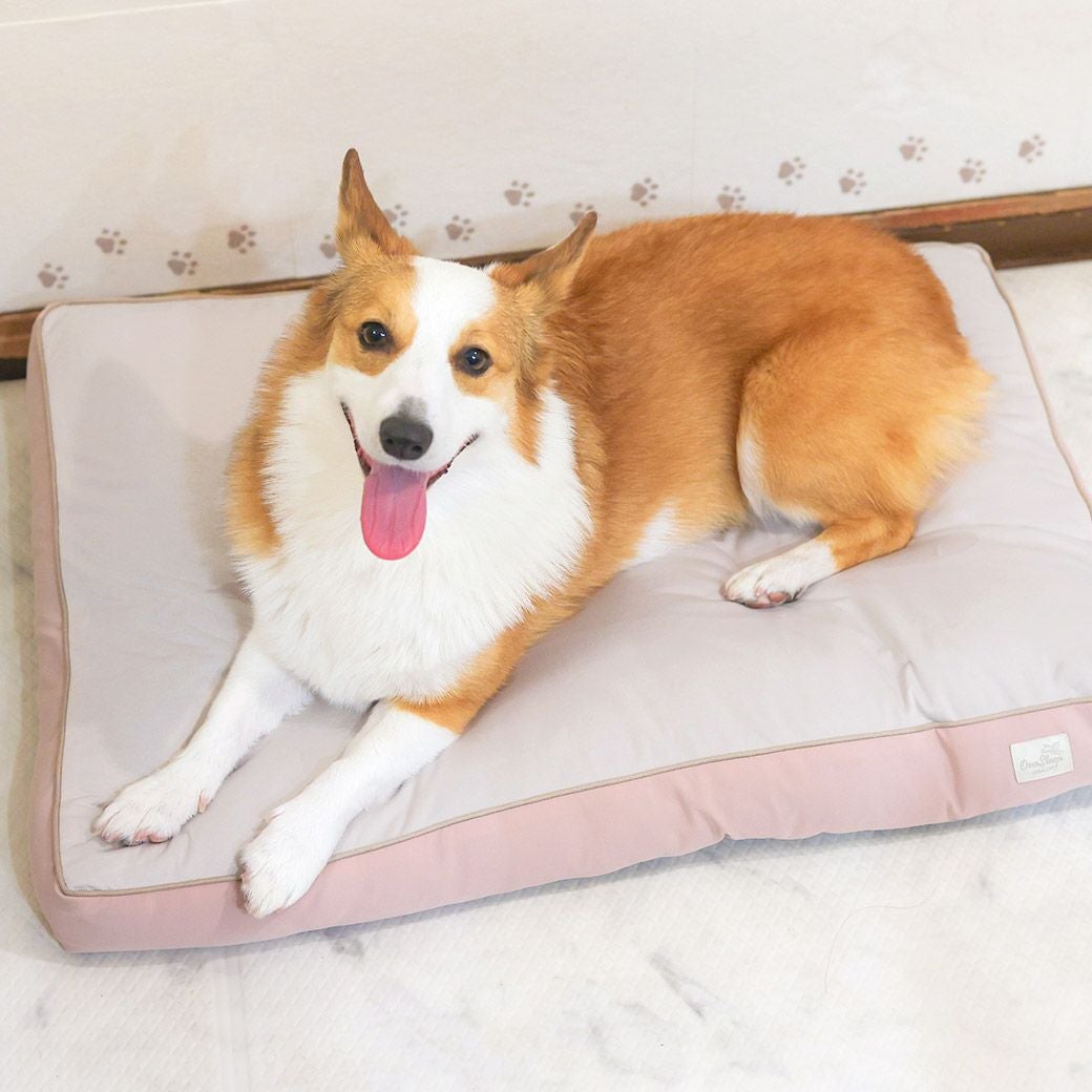 コーギー10.6kg(首36/胴51/丈37cm)のラテちゃんはピンクアーモンドを使用