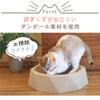 研ぎくずが出にくいダンボール素材を使用し、お掃除がラクです。