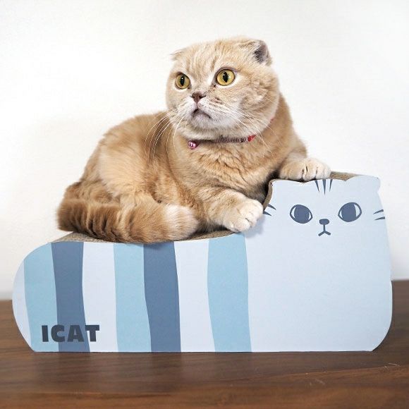 【 猫 爪とぎ 】iCat つめとぎ スコティッシュ