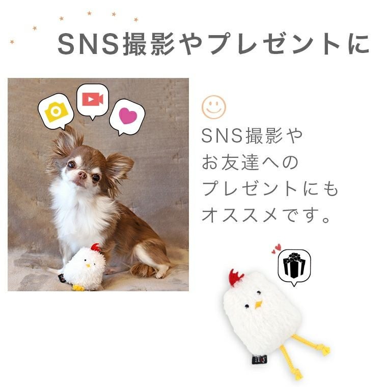 iDog＆iCat本店】iDog iToy にわとり 鳴き笛入り アイドッグ-犬猫