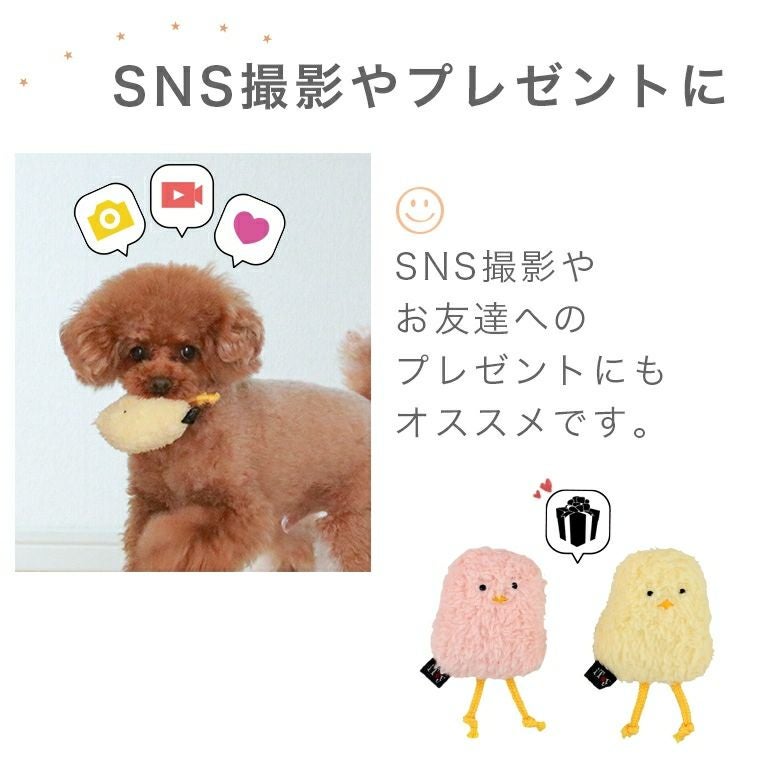 iDog＆iCat本店】iDog iToy ひよこ 鳴き笛入り アイドッグ-犬猫ペット
