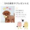 【 犬 猫 おもちゃ 】iDog iToy ひよこ 鳴き笛入り アイドッグ