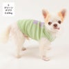 チワワ2.69kg(首21/胴34/丈25cm)の涼央くんはのグリーンSを着用