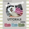 【 犬 猫 ブラシ 】iCat UTTORAJI 夢心地なマッサージブラシ しまネコ