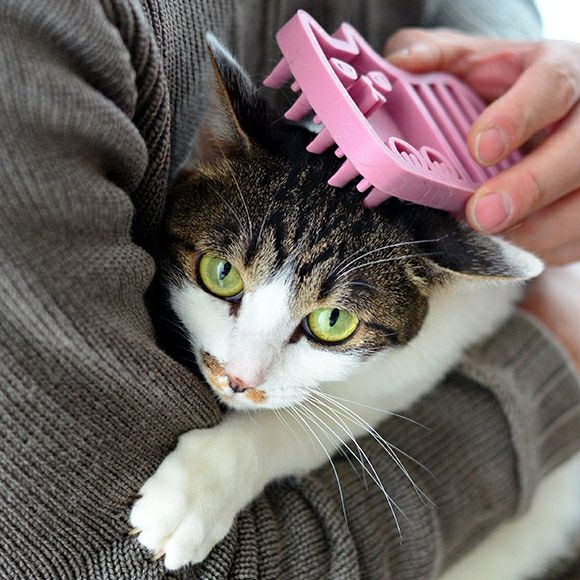 iDog＆iCat本店】iCat UTTORAJI 夢心地なマッサージブラシ しまネコ-犬