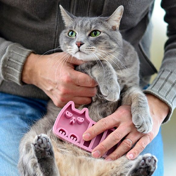 iDog＆iCat本店】iCat UTTORAJI 夢心地なマッサージブラシ しまネコ-犬
