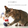iCatケリケリおこニャンキャットニップとカシャカシャ入りアイキャット