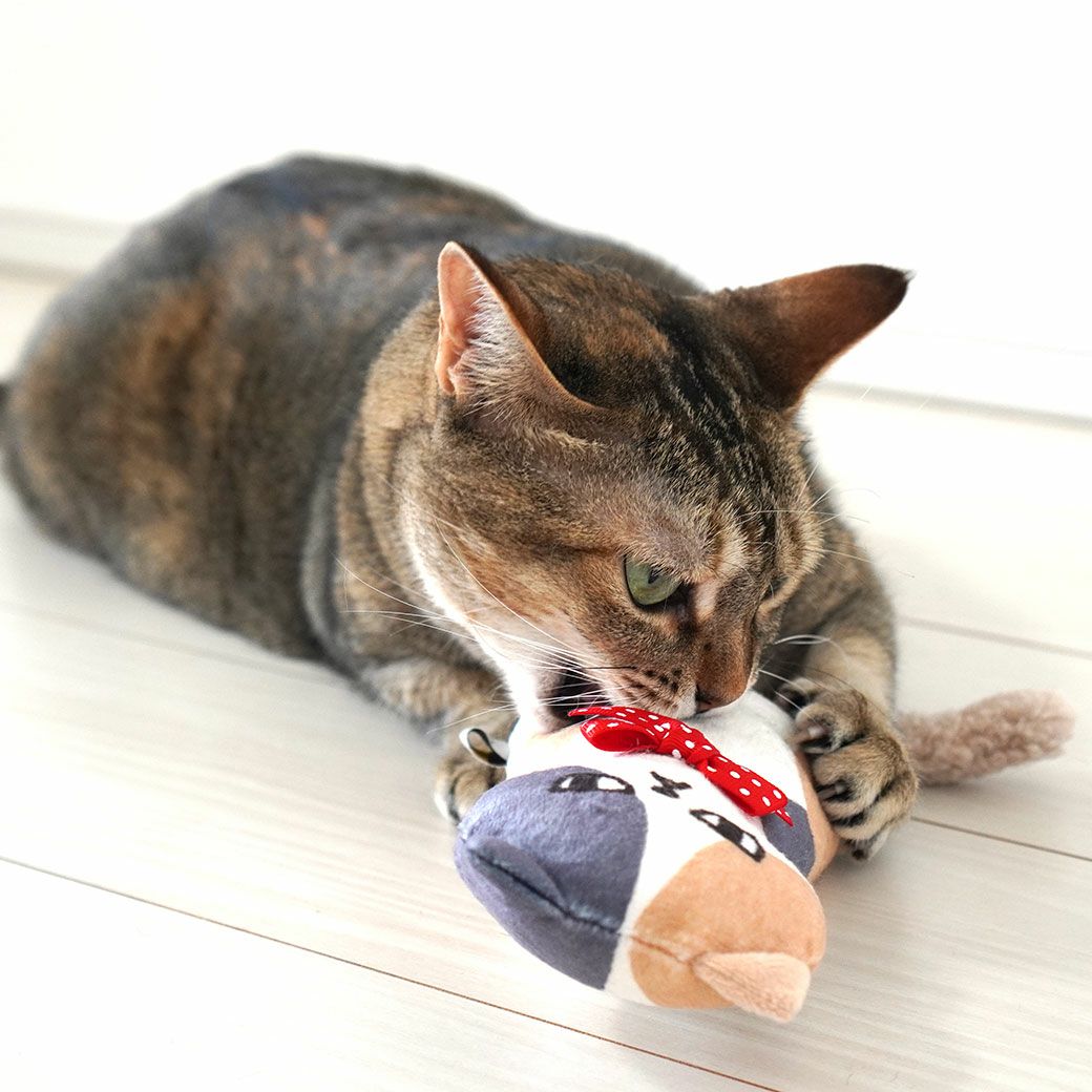 iCat ケリケリおこニャン キャットニップとカシャカシャ入り アイ