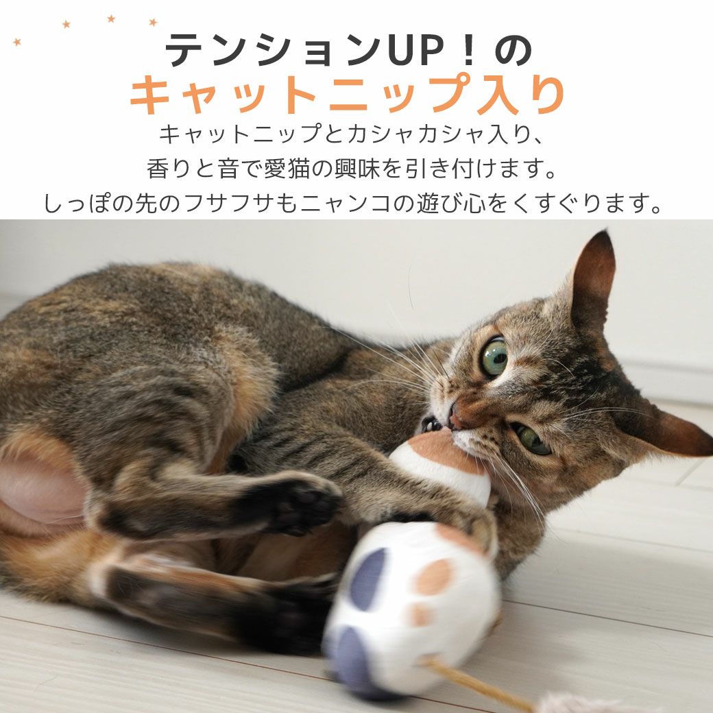 iCat ケリケリおこニャン キャットニップとカシャカシャ入り アイ